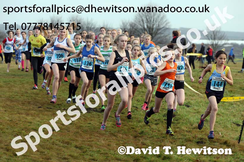 Girls under-13s North Eastern Cross Country, Aykley Heads, Durham. Photo: David T. Hewitson/Sports for All Pics